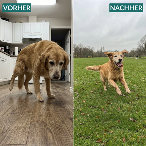 Kausnacks für Hüfte und Gelenke