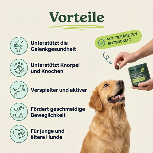 Kausnacks für Hüfte und Gelenke